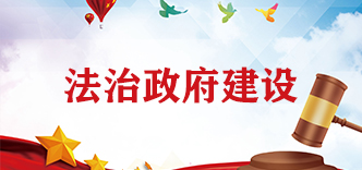 法治政府建设