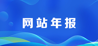 网站年报