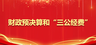 财政预决算